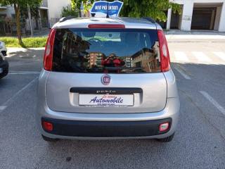 FIAT Panda usata 4
