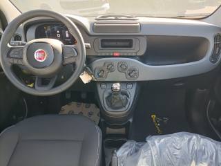 FIAT Panda usata, con Controllo elettronico della corsia