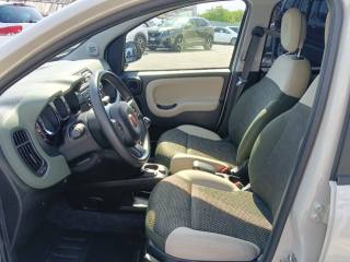FIAT Panda usata, con Climatizzatore