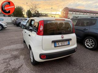 FIAT Panda usata, con Airbag Passeggero