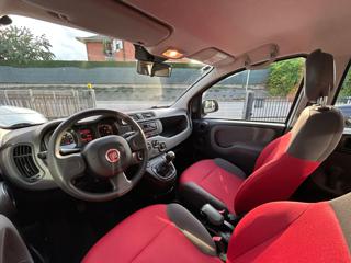 FIAT Panda usata, con Controllo trazione