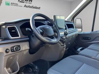 FORD Transit usata, con Fendinebbia