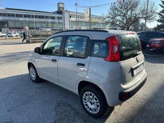 FIAT Panda usata, con Immobilizzatore elettronico