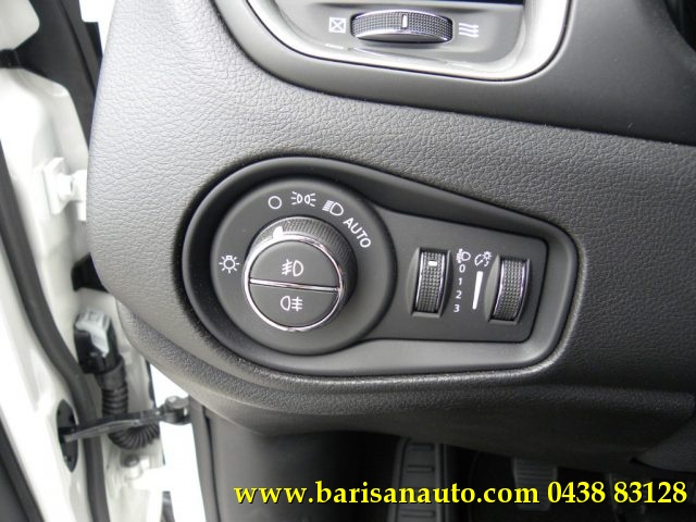 JEEP Renegade usata, con Fendinebbia