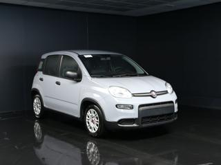 FIAT Panda usata, con Airbag Passeggero