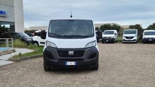 FIAT Ducato usata, con Cruise Control