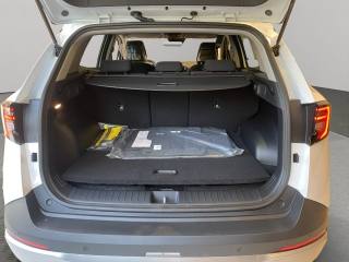 KIA Sportage usata, con Riconoscimento dei segnali stradali