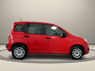 FIAT Panda usata, con Alzacristalli elettrici