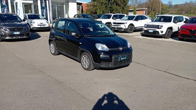 FIAT Panda usata, con Servosterzo