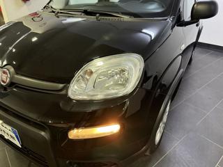 FIAT Panda usata, con Airbag Passeggero