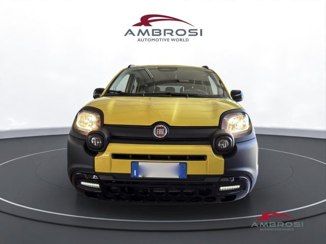 FIAT Panda usata 6