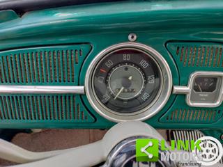 VOLKSWAGEN Maggiolino usata 15