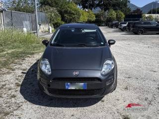 FIAT Punto 1.2 8V 5 porte Street - PER OPERATORI DEL SETTORE