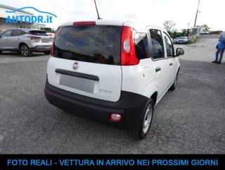 FIAT Panda usata, con Airbag Passeggero