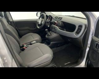 FIAT Panda usata, con Airbag testa