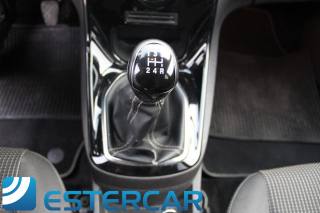 FORD Fiesta usata, con Antifurto