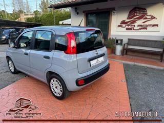 FIAT Panda usata, con Airbag Passeggero