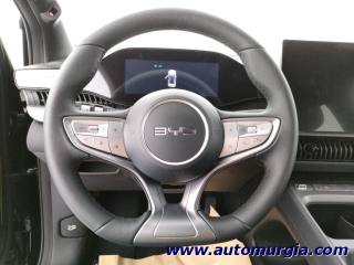 BYD DOLPHIN G DM-i usata, con Controllo automatico clima