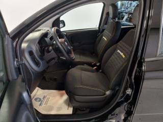 FIAT Panda usata, con Chiusura centralizzata