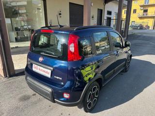 FIAT Panda usata, con Antifurto