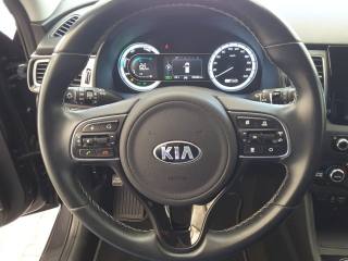 KIA Niro usata, con Fendinebbia