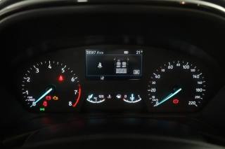 FORD Fiesta usata 6