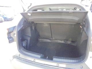 DACIA Duster usata, con Bracciolo