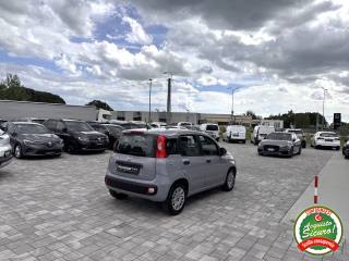 FIAT Panda usata, con Climatizzatore