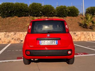 FIAT Panda usata, con Climatizzatore
