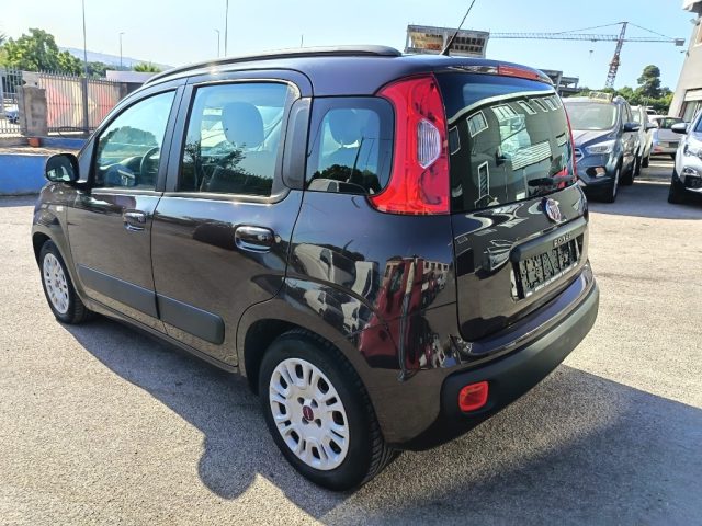 FIAT Panda usata 4