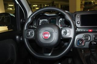 FIAT Panda usata, con Fendinebbia