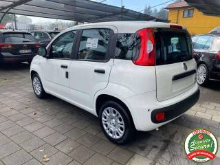 FIAT Panda usata, con Antifurto