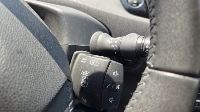 RENAULT Scenic usata, con Volante multifunzione