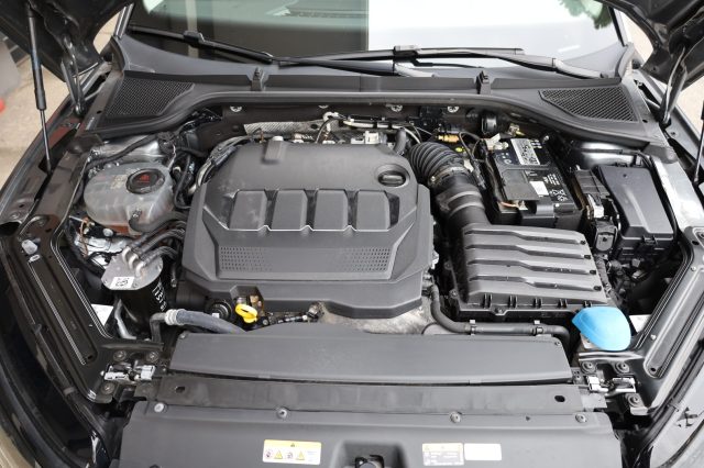 SKODA Octavia usata 173