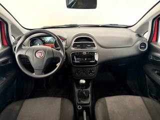 FIAT Punto usata 12