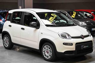 FIAT Panda usata, con Airbag Passeggero