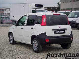 FIAT Panda usata, con ESP