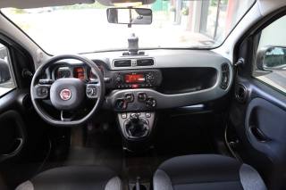 FIAT Panda usata, con Volante multifunzione