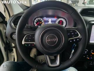 JEEP Renegade usata, con Climatizzatore