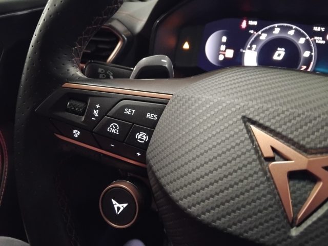 CUPRA Formentor usata 32