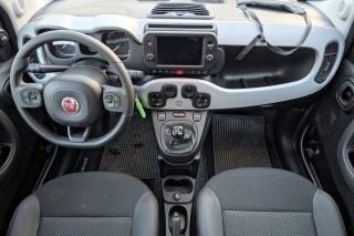 FIAT Panda Cross usata, con Chiusura centralizzata