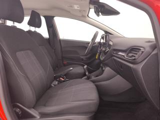 FORD Fiesta usata, con Airbag testa