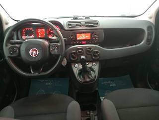 FIAT Panda usata 11