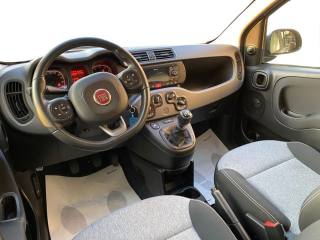FIAT Panda usata, con Controllo trazione