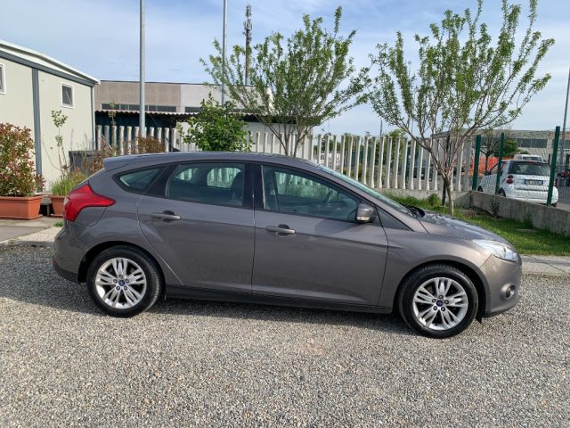 FORD Focus usata, con Airbag Passeggero