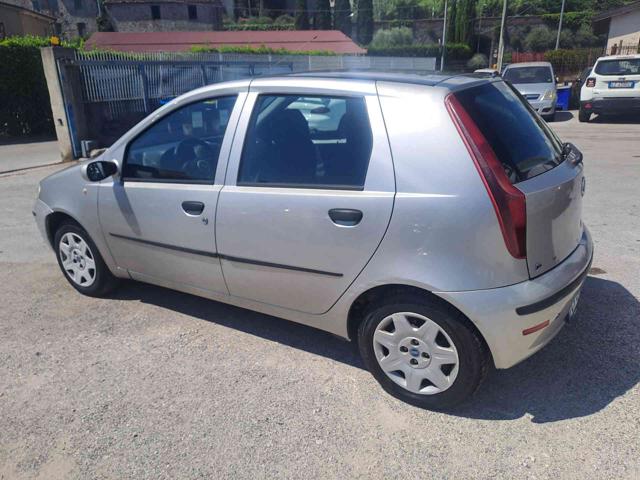 FIAT Punto usata 14