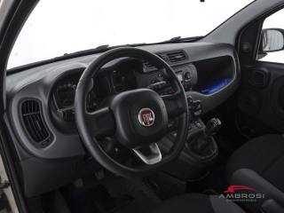 FIAT Panda usata 7