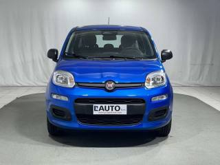 FIAT Panda usata, con ESP