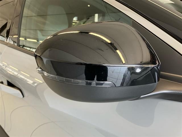 RENAULT Megane usata 24