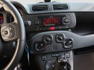 FIAT Panda usata, con Fendinebbia